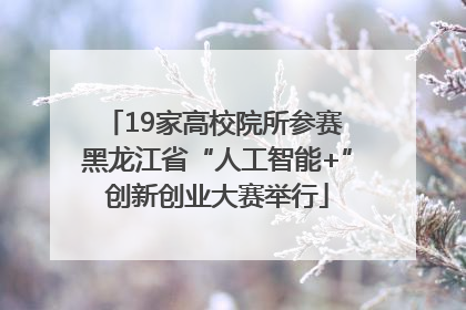 19家高校院所参赛 黑龙江省“人工智能+”创新创业大赛举行