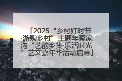 2025“乡村好时节·游购乡村”主题年蔡家沟“艺韵乡集·乐活时光”艺文嘉年华活动启幕
