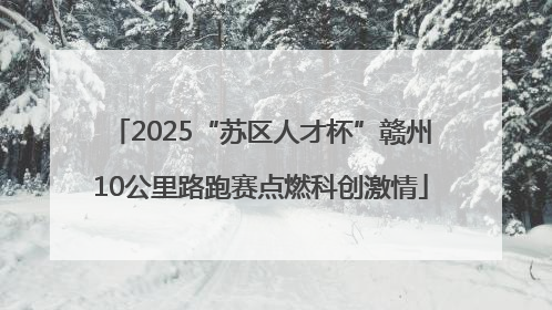2025“苏区人才杯”赣州10公里路跑赛点燃科创激情