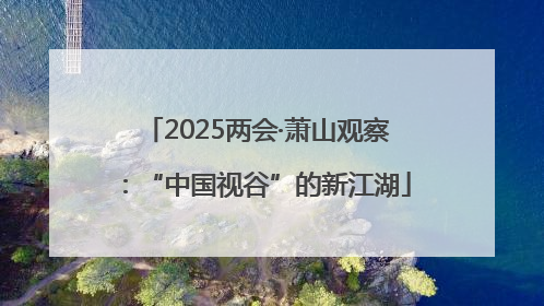 2025两会·萧山观察：“中国视谷”的新江湖