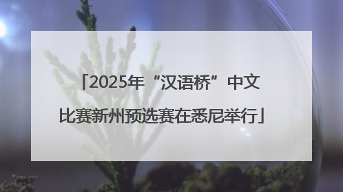 2025年“汉语桥”中文比赛新州预选赛在悉尼举行