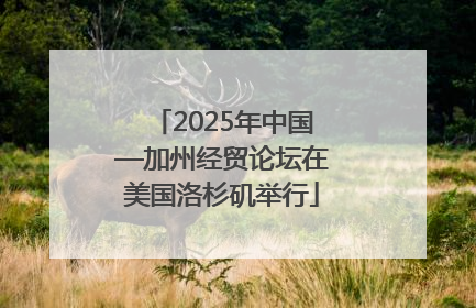 2025年中国—加州经贸论坛在美国洛杉矶举行