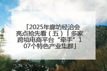2025年廊坊经洽会亮点抢先看（五）丨多家跨境电商平台“牵手”107个特色产业集群