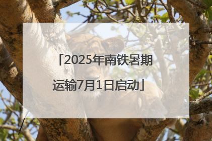 2025年南铁暑期运输7月1日启动
