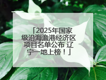2025年国家级沿海渔港经济区项目名单公布 辽宁一地上榜！