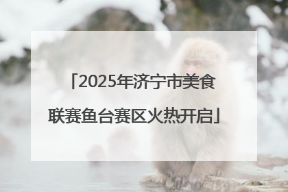 2025年济宁市美食联赛鱼台赛区火热开启