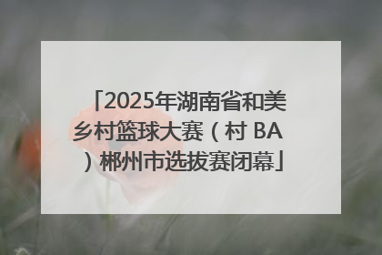 2025年湖南省和美乡村篮球大赛（村 BA）郴州市选拔赛闭幕