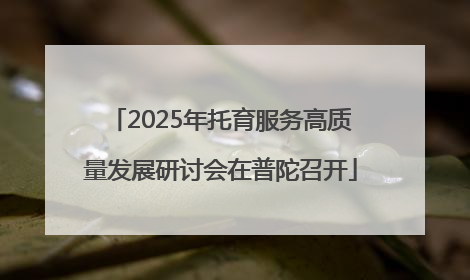 2025年托育服务高质量发展研讨会在普陀召开