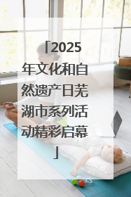 2025年文化和自然遗产日芜湖市系列活动精彩启幕