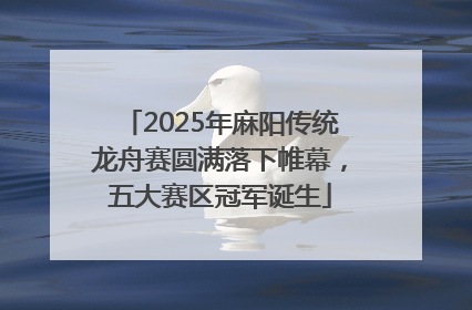 2025年麻阳传统龙舟赛圆满落下帷幕，五大赛区冠军诞生