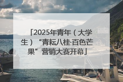 2025年青年（大学生）“青耘八桂·百色芒果”营销大赛开幕