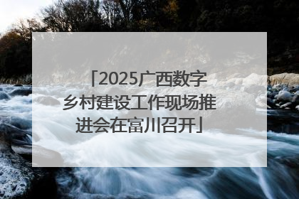 2025广西数字乡村建设工作现场推进会在富川召开