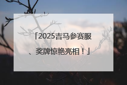 2025吉马参赛服、奖牌惊艳亮相！