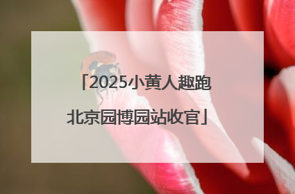 2025小黄人趣跑北京园博园站收官