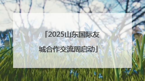 2025山东国际友城合作交流周启动