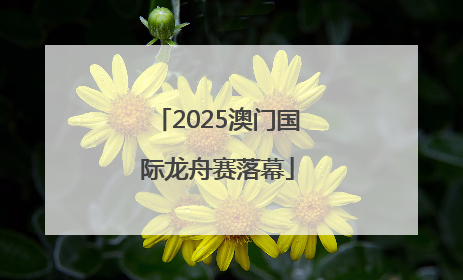 2025澳门国际龙舟赛落幕