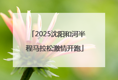 2025沈阳和河半程马拉松激情开跑