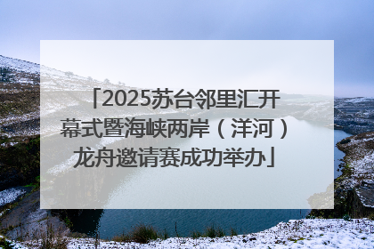 2025苏台邻里汇开幕式暨海峡两岸（洋河）龙舟邀请赛成功举办