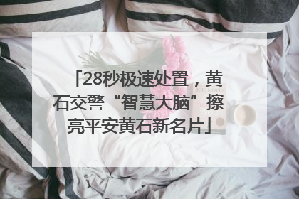 28秒极速处置，黄石交警“智慧大脑”擦亮平安黄石新名片