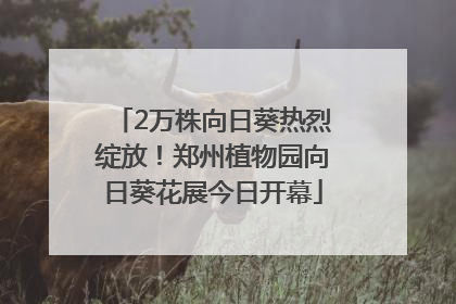 2万株向日葵热烈绽放！郑州植物园向日葵花展今日开幕