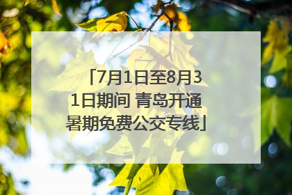 7月1日至8月31日期间 青岛开通暑期免费公交专线