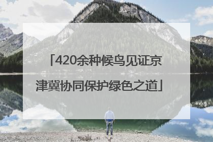 420余种候鸟见证京津冀协同保护绿色之道