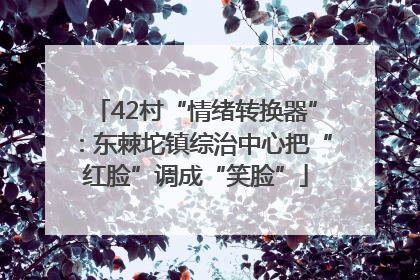 42村“情绪转换器”：东棘坨镇综治中心把“红脸”调成“笑脸”
