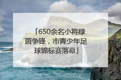 650余名小将绿茵争锋，市青少年足球锦标赛落幕