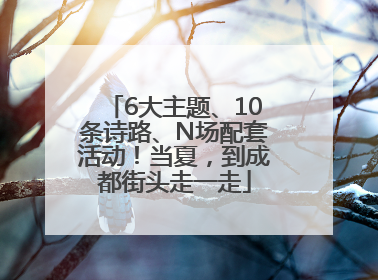 6大主题、10条诗路、N场配套活动！当夏，到成都街头走一走