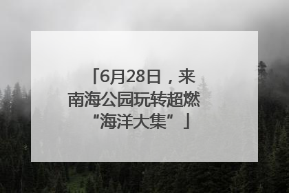 6月28日，来南海公园玩转超燃 “海洋大集”