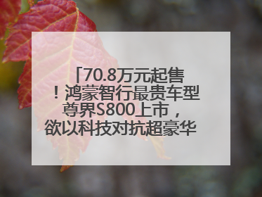 70.8万元起售！鸿蒙智行最贵车型尊界S800上市，欲以科技对抗超豪华品牌，余承东发布会未提及迈巴赫