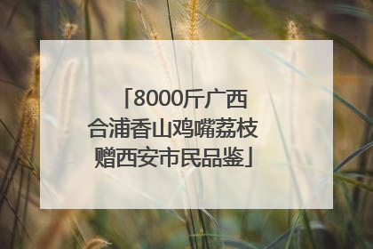 8000斤广西合浦香山鸡嘴荔枝赠西安市民品鉴