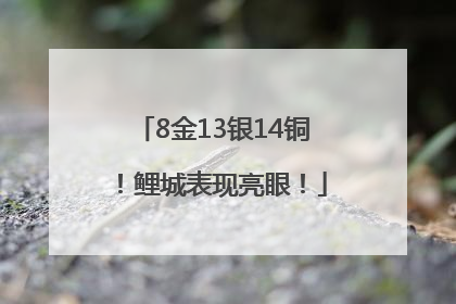 8金13银14铜！鲤城表现亮眼！