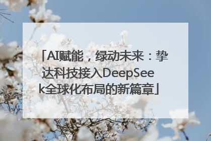 AI赋能，绿动未来：挚达科技接入DeepSeek全球化布局的新篇章
